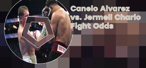 Canelo alvarez odds