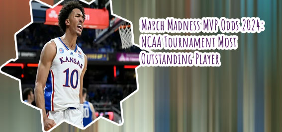Ncaa basketball odds shark