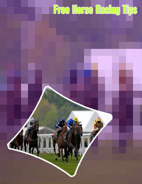 Top horse racing tipsters free
